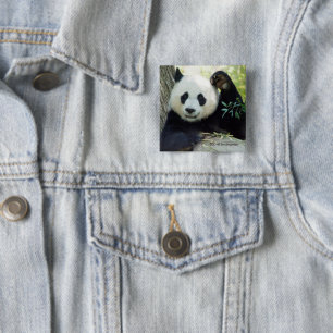 Giant Panda rusteert tegen bomen Vierkante Button 5,1 Cm