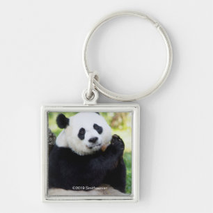 Giant Panda Sitting Sleutelhanger