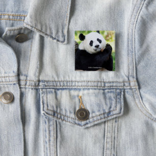 Giant Panda Sitting Vierkante Button 5,1 Cm