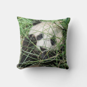Giant Panda zweert in gras Kussen
