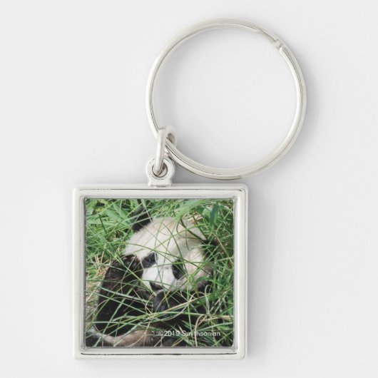Giant Panda zweert in gras Sleutelhanger (Voorkant)