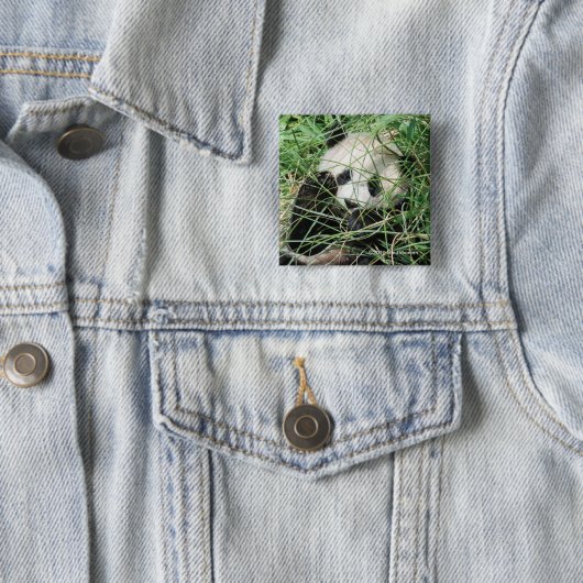 Giant Panda zweert in gras Vierkante Button 5,1 Cm (In situ)