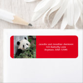 Giant Pandas Return-adreslabels, rood Etiket (Insitu)