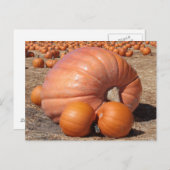 Giant Pumpkin Briefkaart (Voorkant / Achterkant)