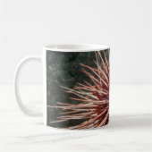 Giant Red Zee Urchin - Mok (Links)