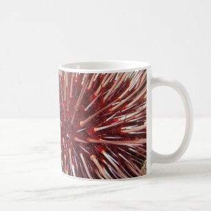 Giant Red Zee Urchin - Mok