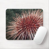 Giant Red Zee Urchin - Mousepad Muismat (Met muis)