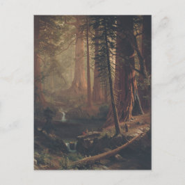 Giant Redwood Trees uit Californië Briefkaart