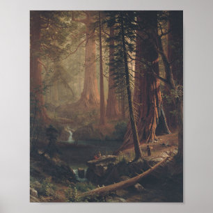 Giant Redwood van Albert Bierstadt Poster