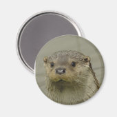 Giant River Otter Magnet Magneet (Voorkant / Achterkant)