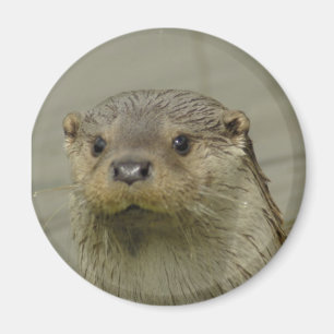 Giant River Otter Magnet Magneet