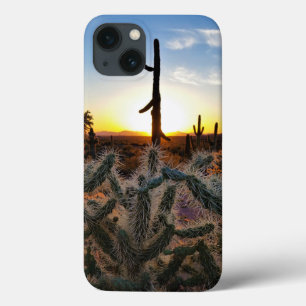 Giant Saguaro Cactus op Sunset in Sonoran Desert iPhone 13 Hoesje