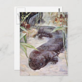 Giant Salamander Art Briefkaart (Voorkant / Achterkant)