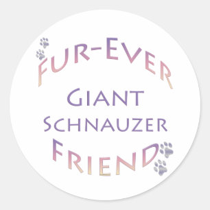 Giant Schnauzer Furever Ronde Sticker