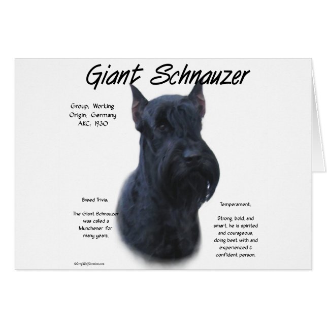 Giant Schnauzer History Design (Voorkant Horizontaal)