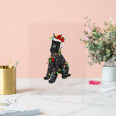 Giant Schnauzer Lover Xmas Père Noël Giant Schnauz (Mariage)