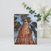 Giant Sequoia Ascends Briefkaart (Staand voorkant)