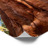 Giant Sequoia Ascends Poster (Hoek)