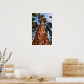 Giant Sequoia Ascends Poster (Keuken)