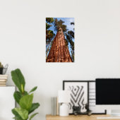 Giant Sequoia Ascends Poster (Thuiskantoor)