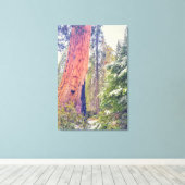 Giant Sequoia Canvas Afdruk (Insitu (Houten vloer))