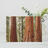 Giant Sequoia Panorama Bedankkaart (Staand voorkant)