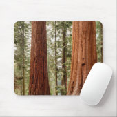Giant Sequoia Panorama Muismat (Met muis)