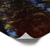 Giant Sequoia Poster (Hoek)