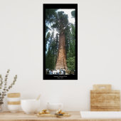 Giant Sequoia Poster (Keuken)