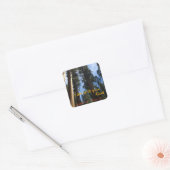 Giant Sequoia Sky Uitzicht Vierkante Sticker (Envelop)