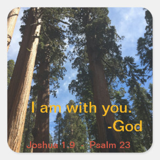 Giant Sequoia Sky Uitzicht Vierkante Sticker