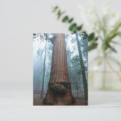 Giant Sequoia Tree in Grant Grove, CA Briefkaart (Staand voorkant)