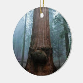 Giant Sequoia Tree in Grant Grove, CA Keramisch Ornament (Links)
