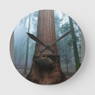Giant Sequoia Tree in Grant Grove, CA Ronde Klok