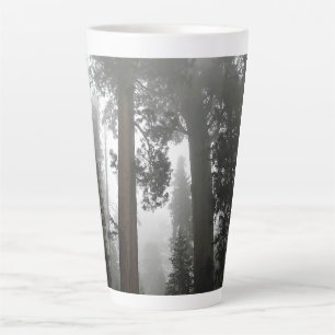 Giant Sequoia Trees in de mist, CA Latte Mok