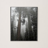 Giant Sequoia Trees in de mist, CA Legpuzzel (Verticaal)