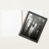 Giant Sequoia Trees in de mist, CA Planner (Display)