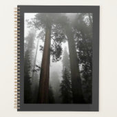 Giant Sequoia Trees in de mist, CA Planner (Voorkant)