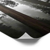 Giant Sequoia Trees in de mist, CA Poster (Hoek)