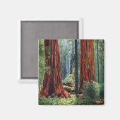 Giant Sequoia Trunks Magneet (Voorkant / Achterkant)