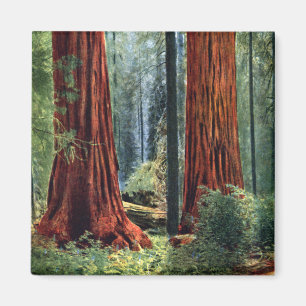 Giant Sequoia Trunks Magneet