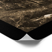 Giant Sequoia Wonder Foto 1915 Poster (Hoek)