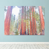 Giant Sequoias Canvas Afdruk (Insitu (Houten vloer))