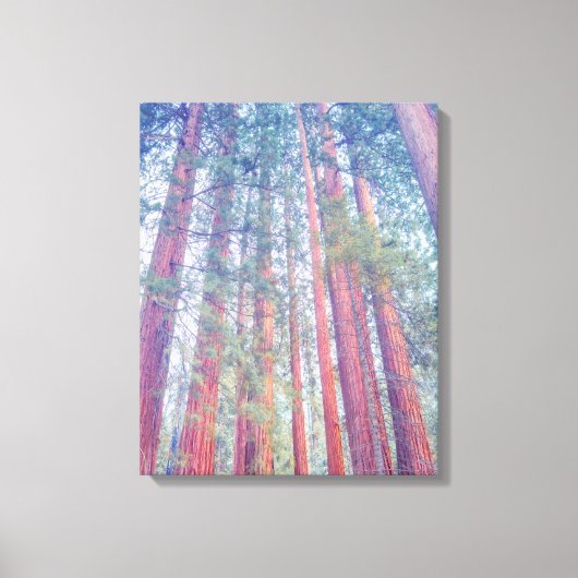 Giant Sequoias Canvas Afdruk (Voorkant)