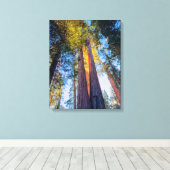 Giant Sequoias Canvas Afdruk (Insitu (Houten vloer))