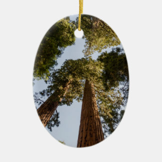Giant Sequoias in Sequoia National Park Keramisch Ornament
