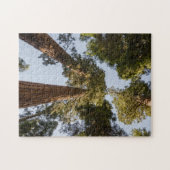 Giant Sequoias in Sequoia National Park Legpuzzel (Horizontaal)