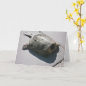 Giant Snapping Turtle Verjaardag Kaart (Gele Bloem)