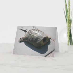 Giant Snapping Turtle Verjaardag Kaart