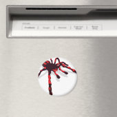 Giant Spider Magneet (Insitu (Vaatwasser))